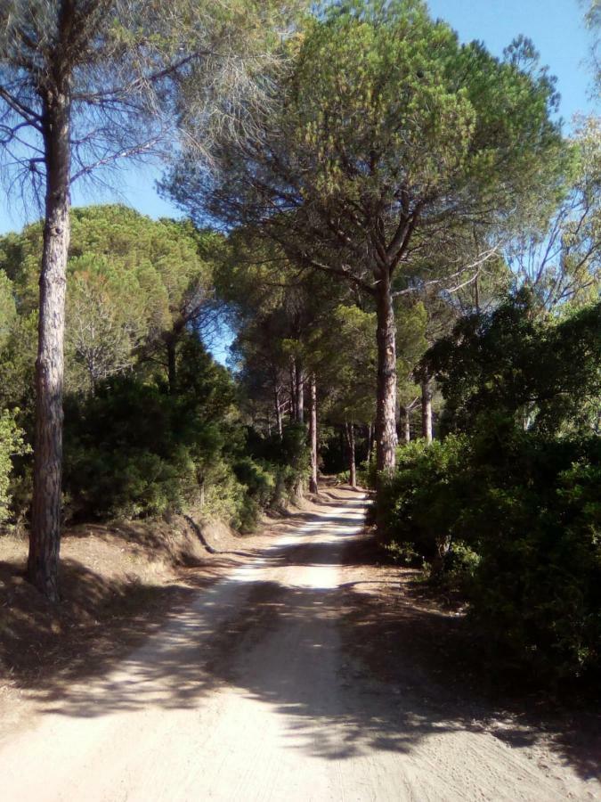 Appartamento Vacanze Sardegna Siniscola Bagian luar foto